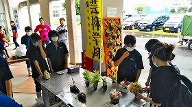 IMG_6712_fix_backlit.jpg