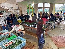 IMG_9288.jpg