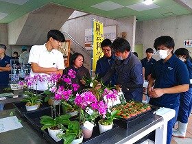 IMG_7852.jpg