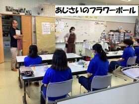 あじさい①.jpg