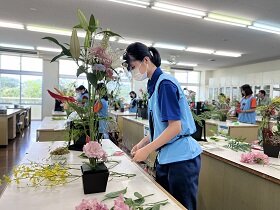 姫花縮小 .jpg