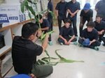 IMG_20009.jpg