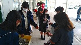 IMG_5921.jpg