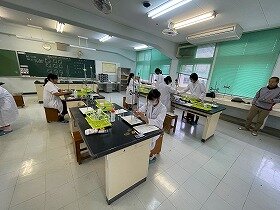IMG_7444.jpg