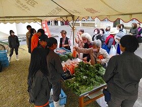 IMG_8009.jpg