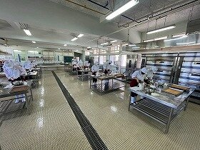 IMG_8480.jpg