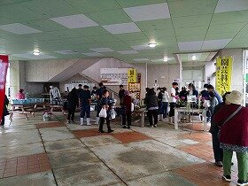 IMG_7844.jpg