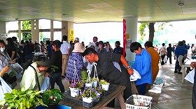 IMG_5960.jpg