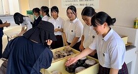 Image-_5_.jpg