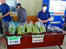 メディア (8).jpg