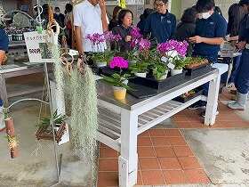 IMG_9292.jpg